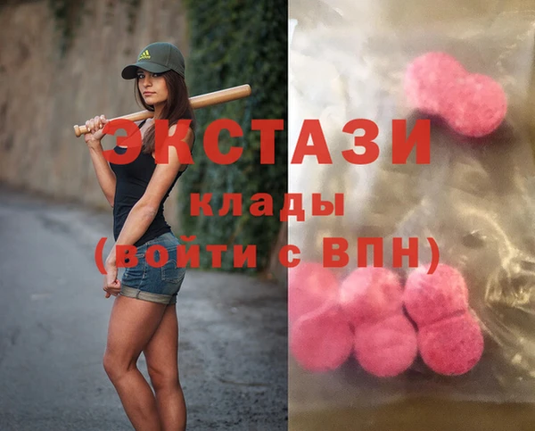 СК Вязьма