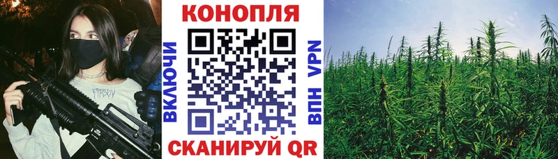 Канабис ГИДРОПОН  Куйбышев 
